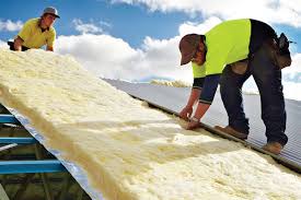 Trusted Plaquemine, LA Insulation Removal & Installation Experts