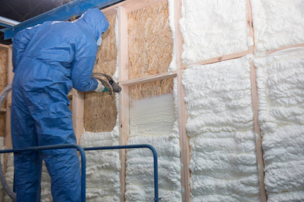 Types of Insulation We Offer in Plaquemine, LA